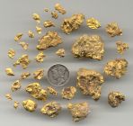 Arizona Gold Nuggets